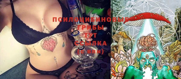 дурь Нефтекумск