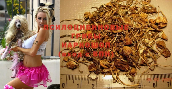 дурь Нефтекумск