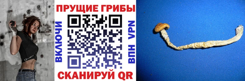 Псилоцибиновые грибы мицелий  кракен как войти  shop телеграм  где купить   Рузаевка 